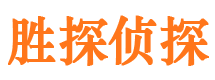 陵县找人公司